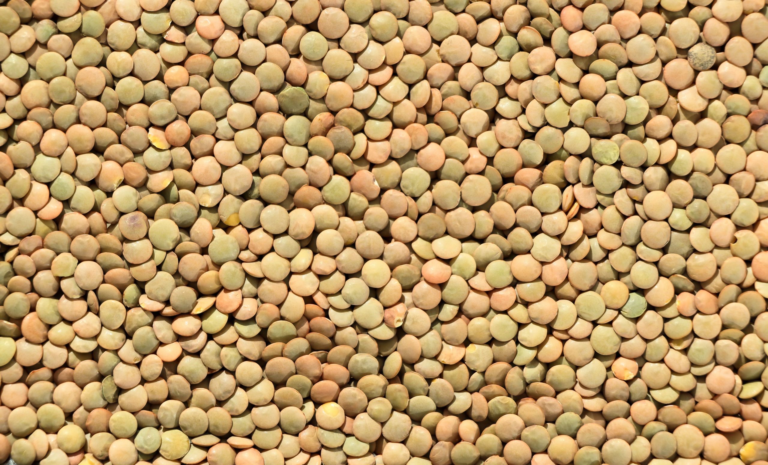 Efficacité des lentilles pour maigrir