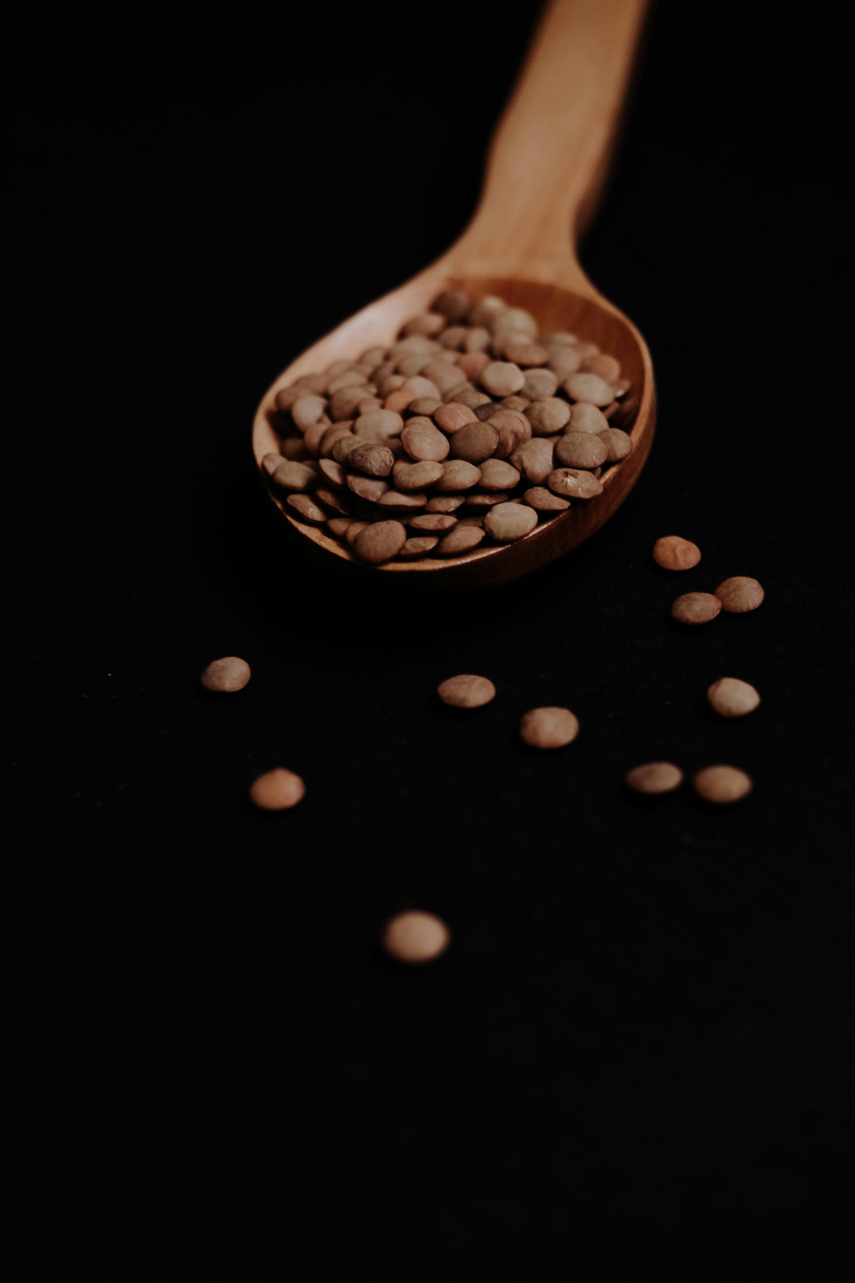 Comparaison lentilles corail et vertes