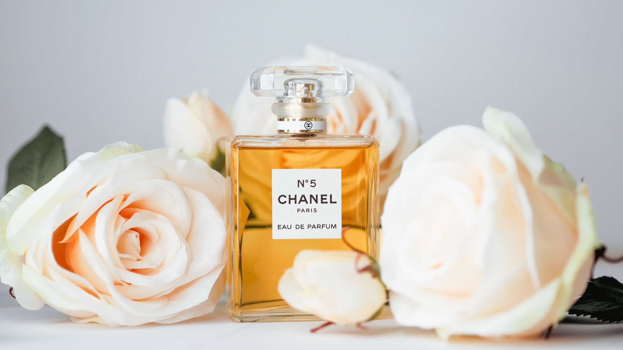 Parfum Chanel entouré de roses blanches élégantes